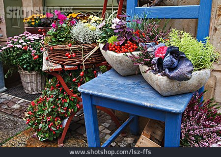 
                Flower Arrangements, Flower Sales                   