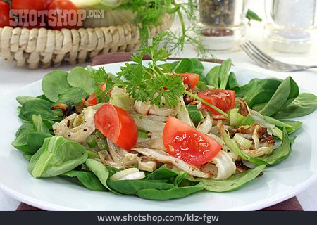 
                Feldsalat, Salatteller, Fenchelsalat                   
