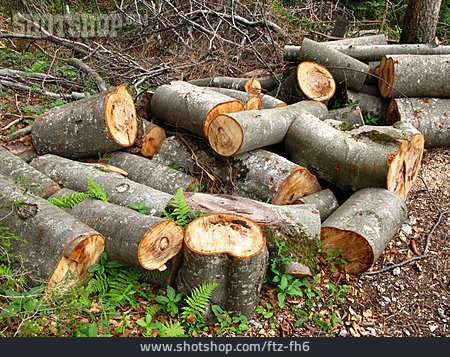 
                Holz, Schnittholz, Holzhaufen                   