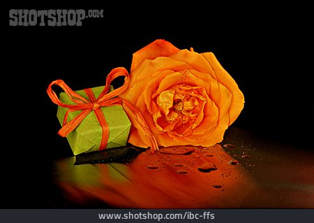 
                Rose, Geschenk                   