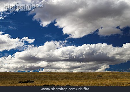 
                Steppe, Patagonien                   