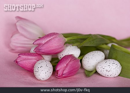 
                Tulpe, Osterdekoration, Frühlingsdekoration                   