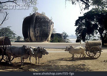 
                Kutsche, Myanmar, Mingun                   