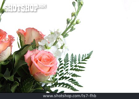 
                Blumenstrauß, Rosenstrauß                   