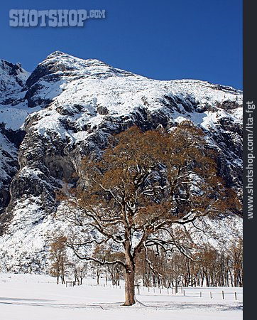 
                Winterlandschaft, Karwendel                   