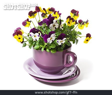 
                Stiefmütterchen, Blumengesteck, Blumendekoration                   