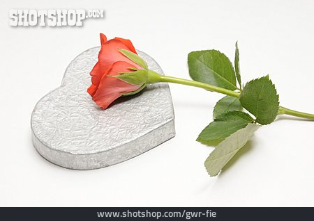 
                Herz, Valentinstag, Rote Rose                   