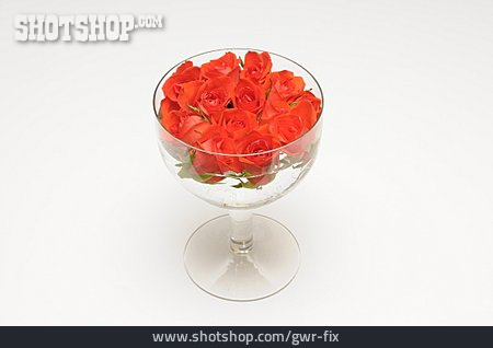 
                Rose, Blumendekoration                   