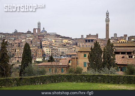 
                Stadtansicht, Siena                   