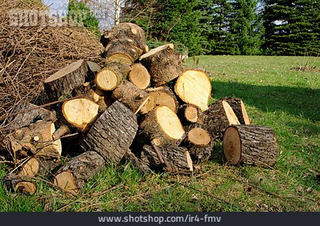 
                Holz, Forstwirtschaft, Holzhaufen                   