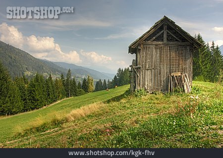 
                Hütte, Scheune, Bergwiese                   