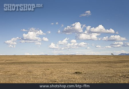 
                Steppe, Kenia, Masai Mara                   
