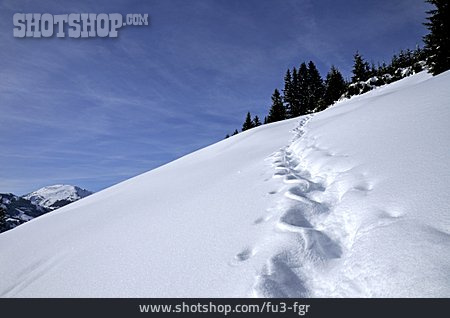 
                Winter, Schnee, Spur, Schneespur                   