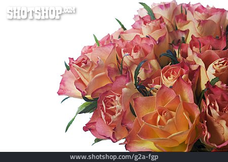 
                Rose, Blumenstrauß, Rosenstrauß                   