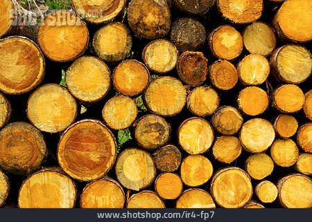 
                Holz, Holzstapel, Holzwirtschaft                   
