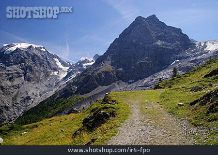 
                Alpen, Gletscher, Ortler                   