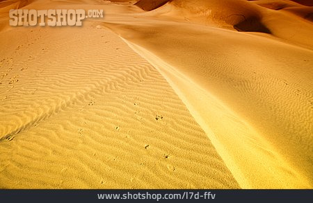 
                Wüste, Sand, Sanddüne                   