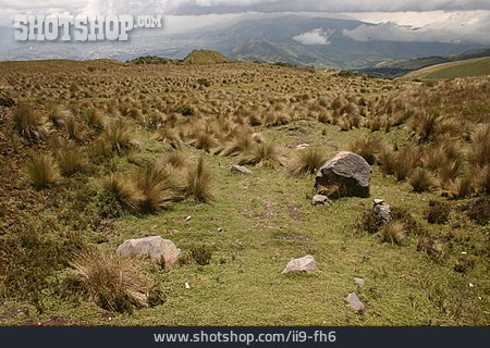 
                Ecuador, Hochgebirge, Pichincha                   