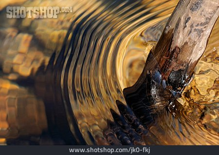 
                Holzstamm, Wasserringe                   