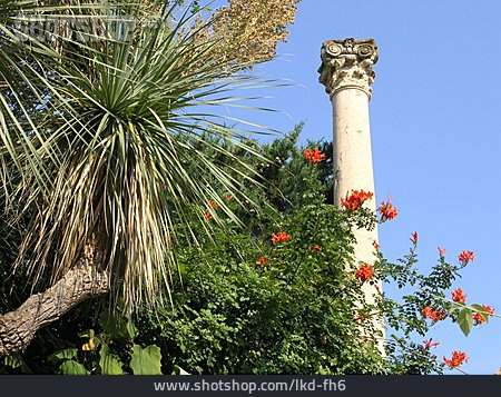 
                Säule, Palme, Mediterran                   