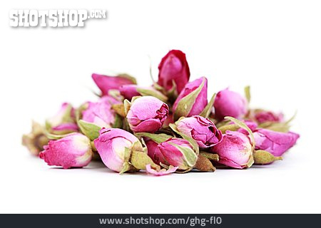 
                Blüte, Rosenblüte, Rosenknospe                   