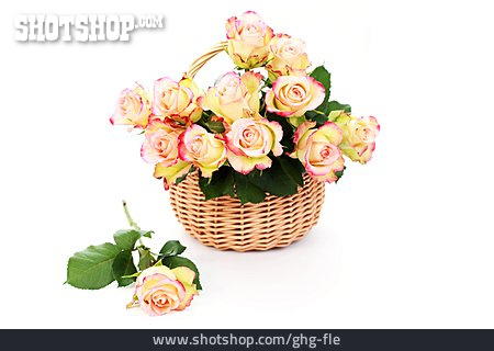 
                Rose, Blumenkorb, Blumendekoration                   