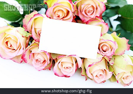 
                Liebesbotschaft, Rosenstrauß, Blumengeschenk                   