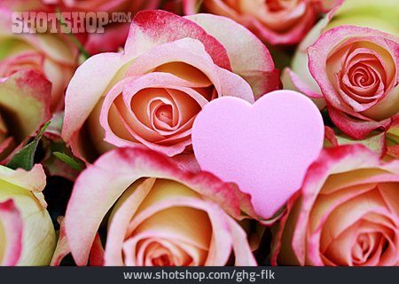 
                Liebe, Herz, Rosenblüte                   