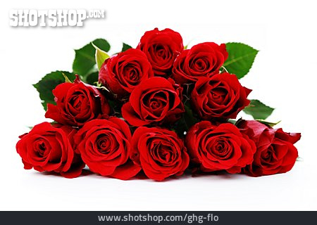 
                Blumenstrauß, Rote Rose, Rosenstrauß                   