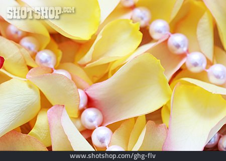 
                Blütenblatt, Perlenkette                   