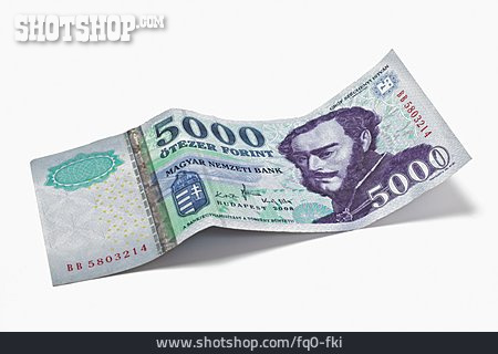 
                Currency, Banknote, Hungarian Cuisine, 5000, Forint, Istvan Szechenyi                   