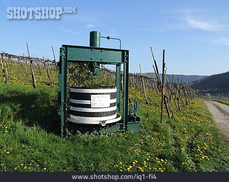 
                Weinanbaugebiet, Kelter, Keltermaschine                   