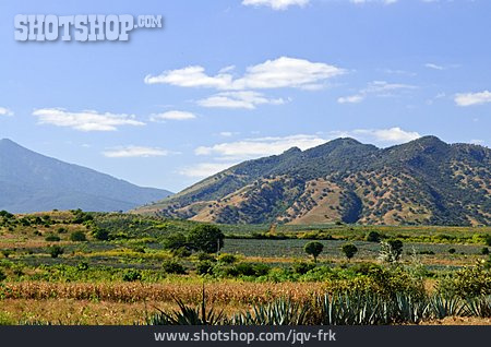 
                Landschaft, Mexiko, Jalisco                   