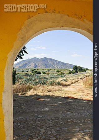 
                Torbogen, Agave, Agavenplantage                   