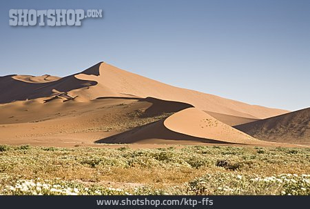 
                Wüste, Düne, Namib-wüste                   