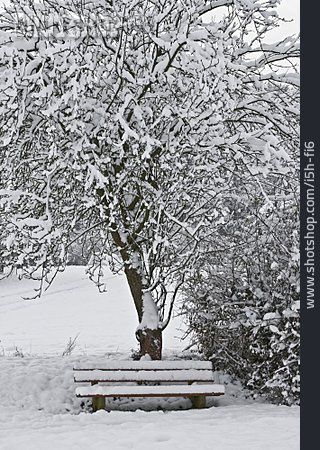 
                Winter, Verschneit, Parkbank                   