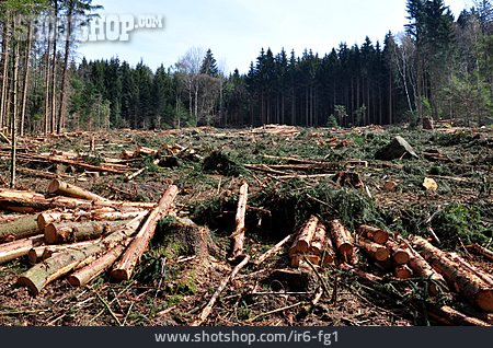 
                Forstwirtschaft, Waldarbeit                   