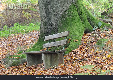 
                Herbst, Sitzbank                   