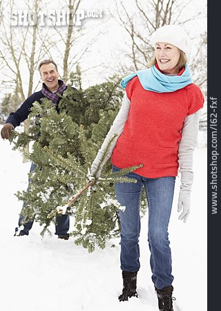 
                Christmas Tree, Couple, Felling                   