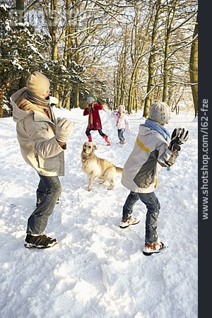 
                Familie, Winterspaziergang, Schneeballschlacht                   