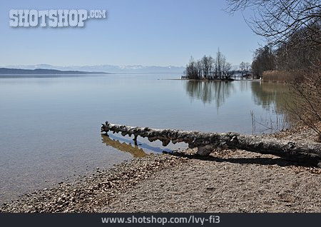 
                See, Seeufer, Starnberger See                   
