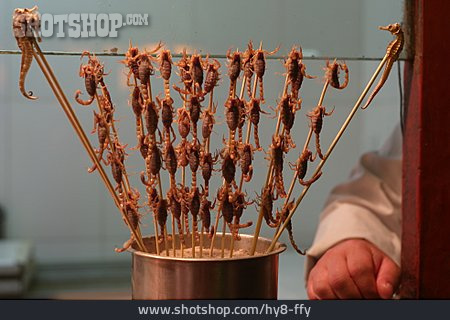 
                Asiatische Küche, Skorpion                   