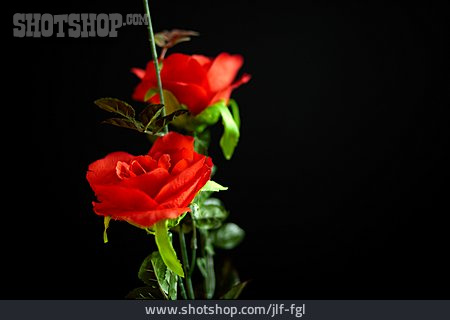 
                Stoffblume, Rote Rosen, Kunstblume                   