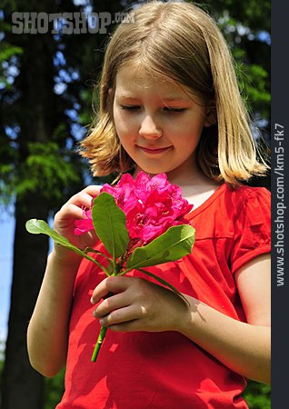 
                Kind, Mädchen, Rhododendron                   