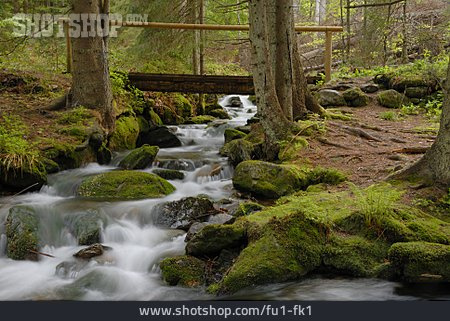 
                Wildbach, Bayerischer Wald, Kleine Ohe                   