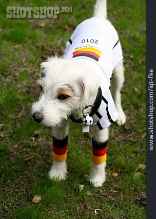 
                Hund, Fußballfan, Deutschlandfan                   