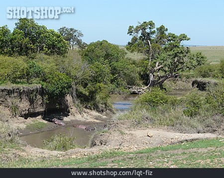 
                Kenia, Wasserloch                   