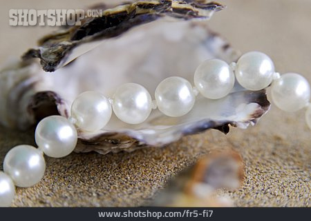 
                Auster, Perlenkette, Perle, Perlmutt                   