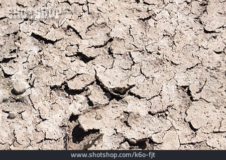 
                Trockenheit, Wassermangel, Lehmboden                   