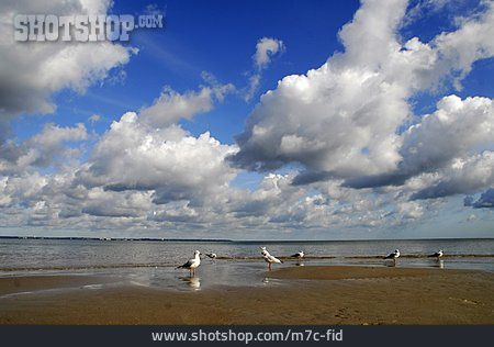 
                Strand, Ostsee, Cumulus, Ostseeküste                   